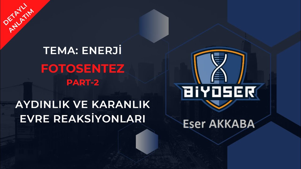 FOTOSENTEZ -  AYDINLIK ve KARANLIK EVRE