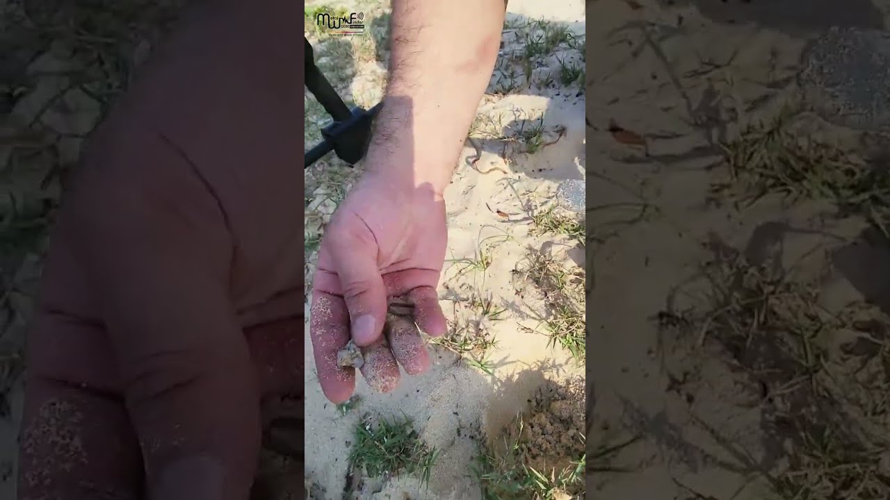 Finding many targets & Coins using GF-650 Metal Detector