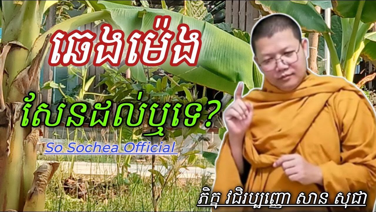 ( ឆេងម៉េង សែនដល់ឬអត់ ,ភិក្ខុ វជិរប្បញ្ញោ សាន សុជា )#sosochea