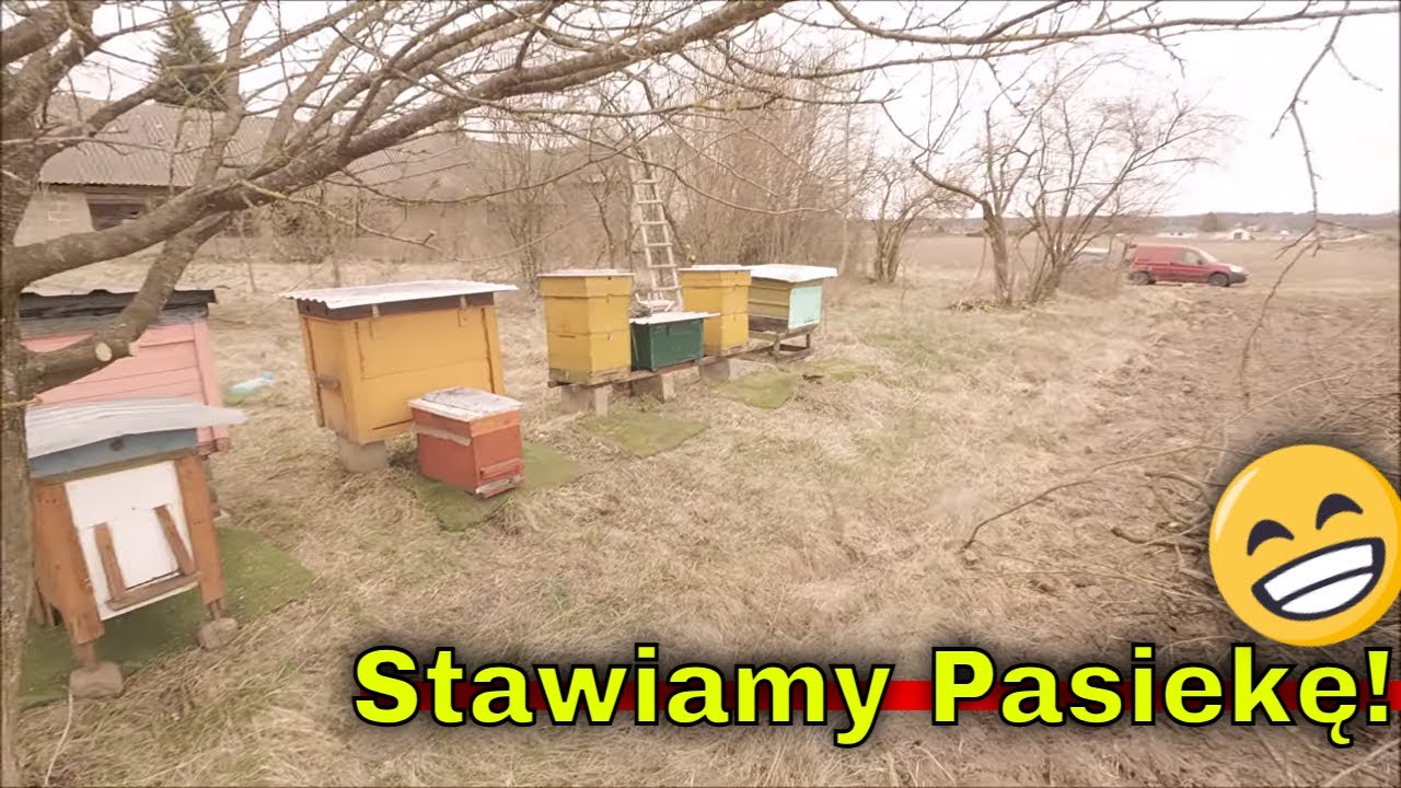Budowa pasieki na nowym siedlisku, czy to dobre miejsce dla naszych pszcz&oacute;ł?