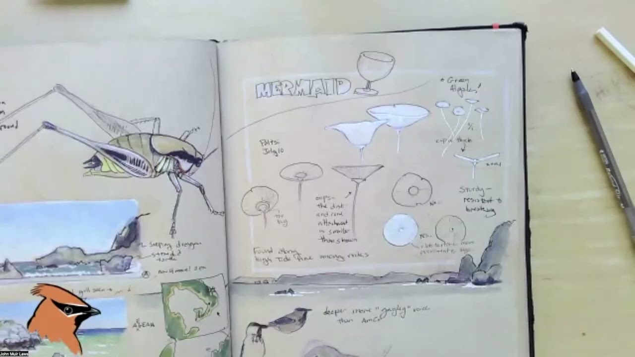 Jack's Summer 2025 Journal Share