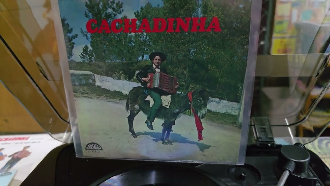 💯% Original | História da Minha Vida I Cachadinha