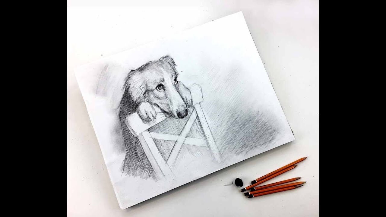 Мастер-класс по графике «Лучший друг» | Как нарисовать портрет собаки поэтапно