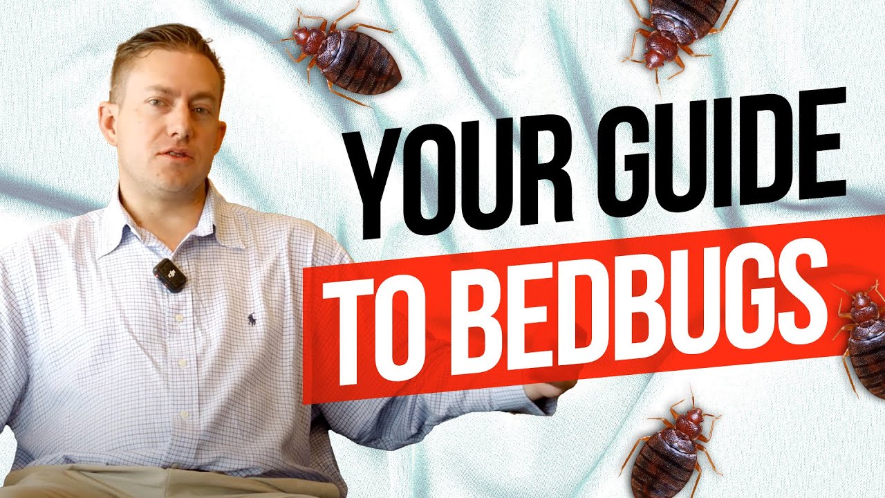 Colorado Bedbug Laws: Your Rights Explained by Attorney Matt Osborne