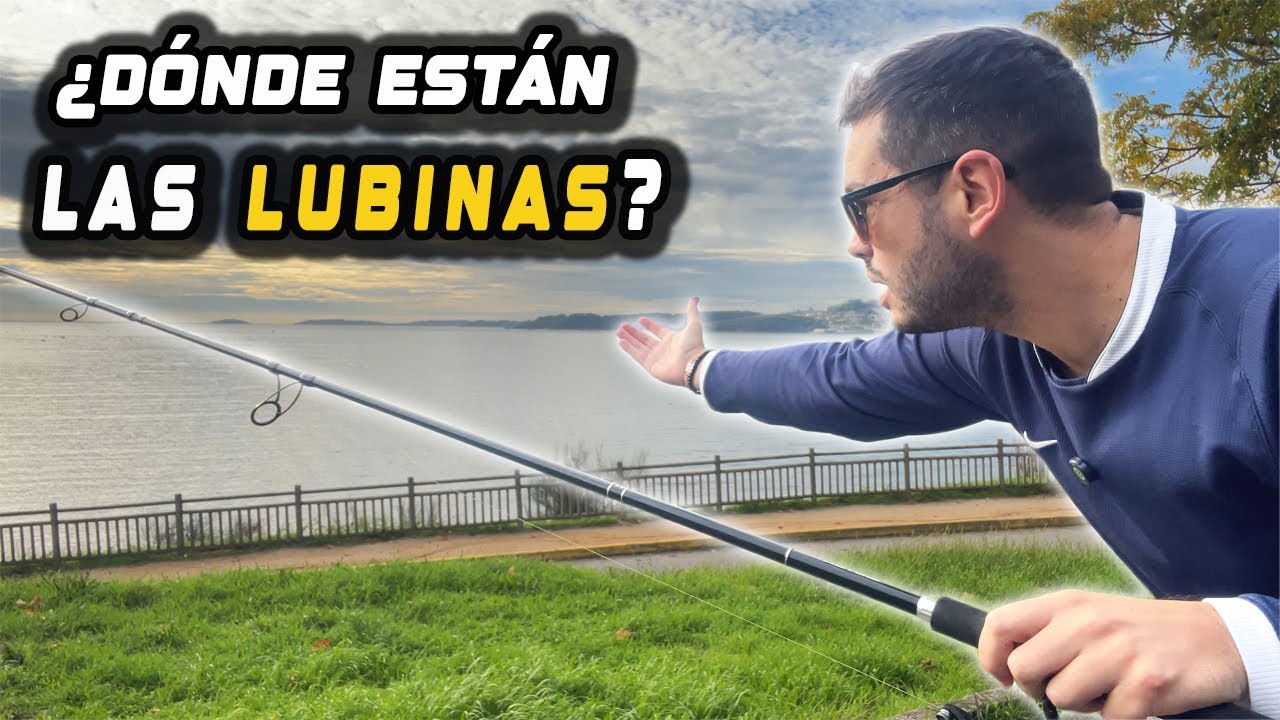 🎣 8 MOTIVOS para NO RENDIRTE cuando NO HAY LUBINAS 😩