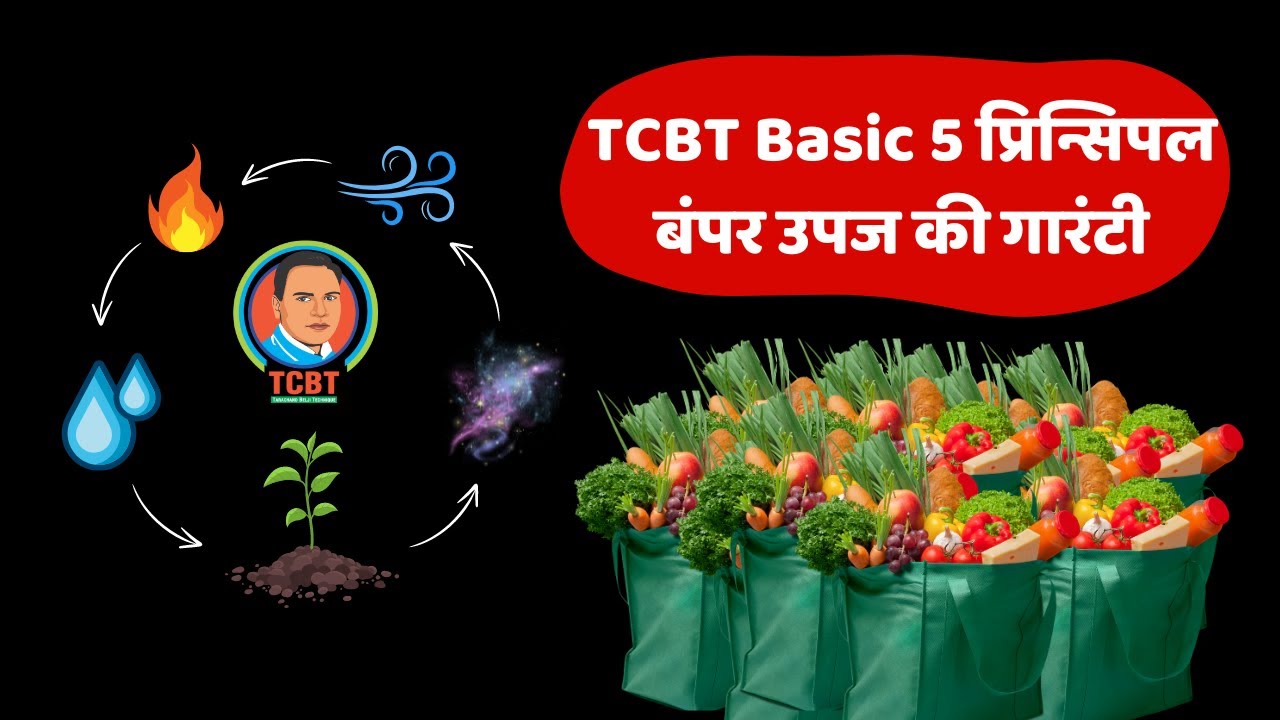 Seekh lo TCBT ke ye Basic 5 प्रिन्सिपल hogi jabardast upaj | Aise kare TCBT jaivik kheti #tcbt