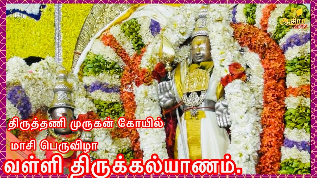 திருத்தணி முருகன் கோயில் மாசி பெருவிழா வள்ளி திருக்கல்யாணம்.