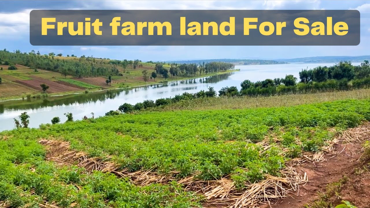 Fruit Farm land for sale in Rwanda