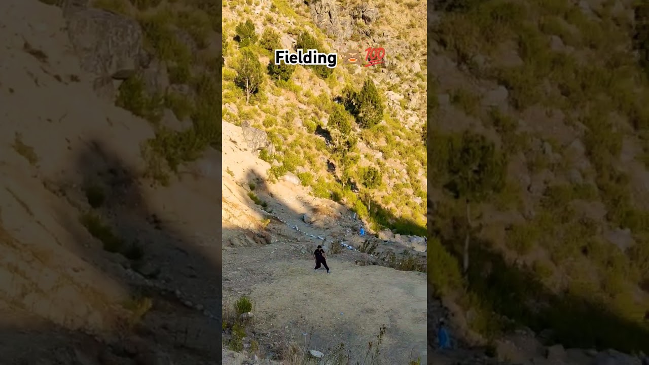Mountain Cricket Fielding check Karo 😱🙈 #cricket