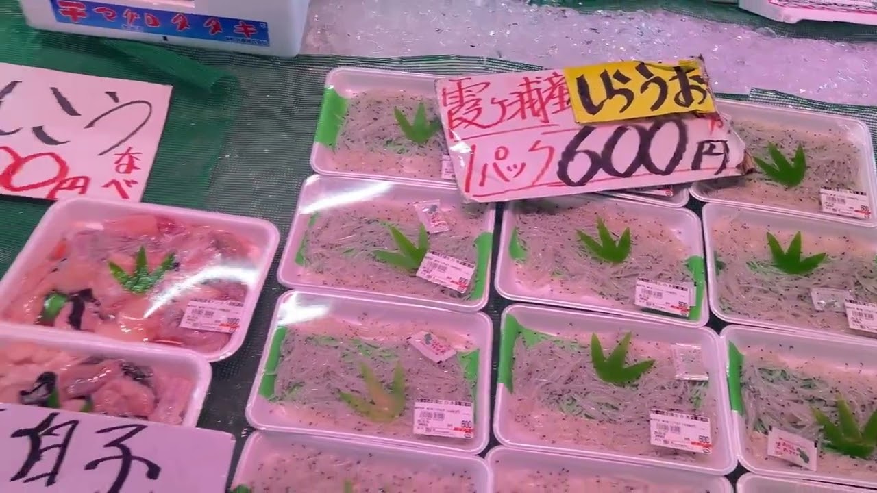 2025年10月13日茨城那珂湊魚市場