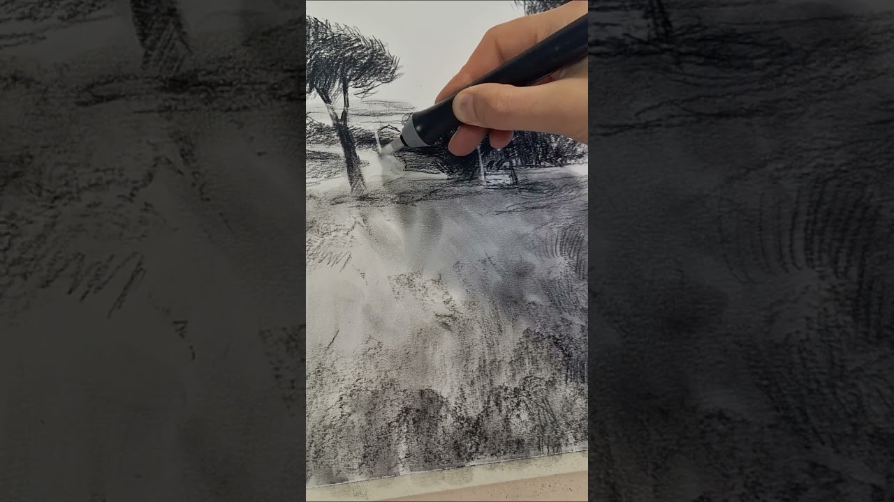 "Il parco sotto casa", disegno a carboncino, 42 x 30 cm, 2024