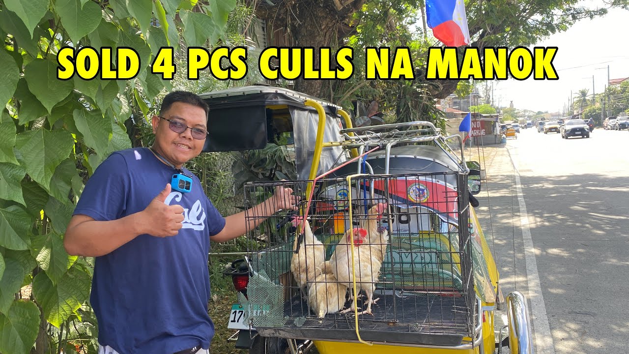 Kumita ako ng ₱600 sa 4 pcs na manok