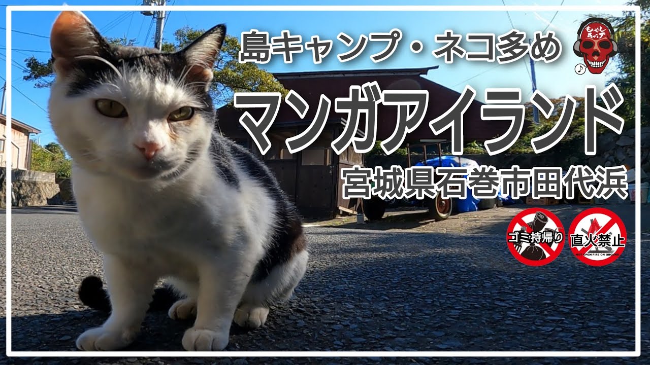 マンガアイランド  猫島で島キャンプ  4月25日㈭から今シーズンの利用開始！