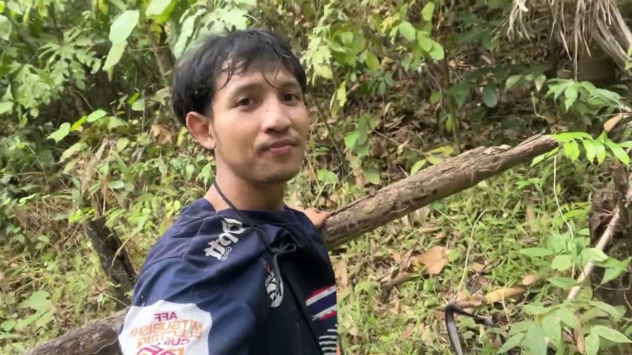 เก็บลูกหมากในป่าดิบชื้น