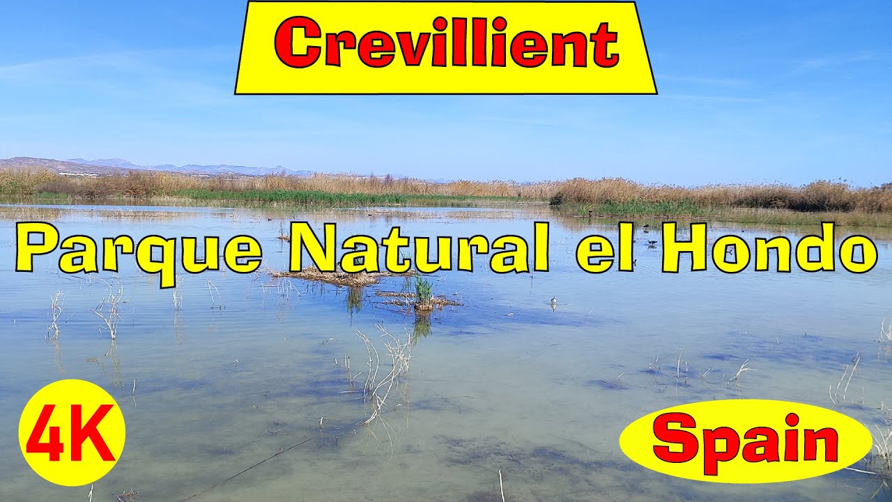 Мы были близки к природе в Parque Natural El Hondo (Центр интерпретации природного парка El Hondo),