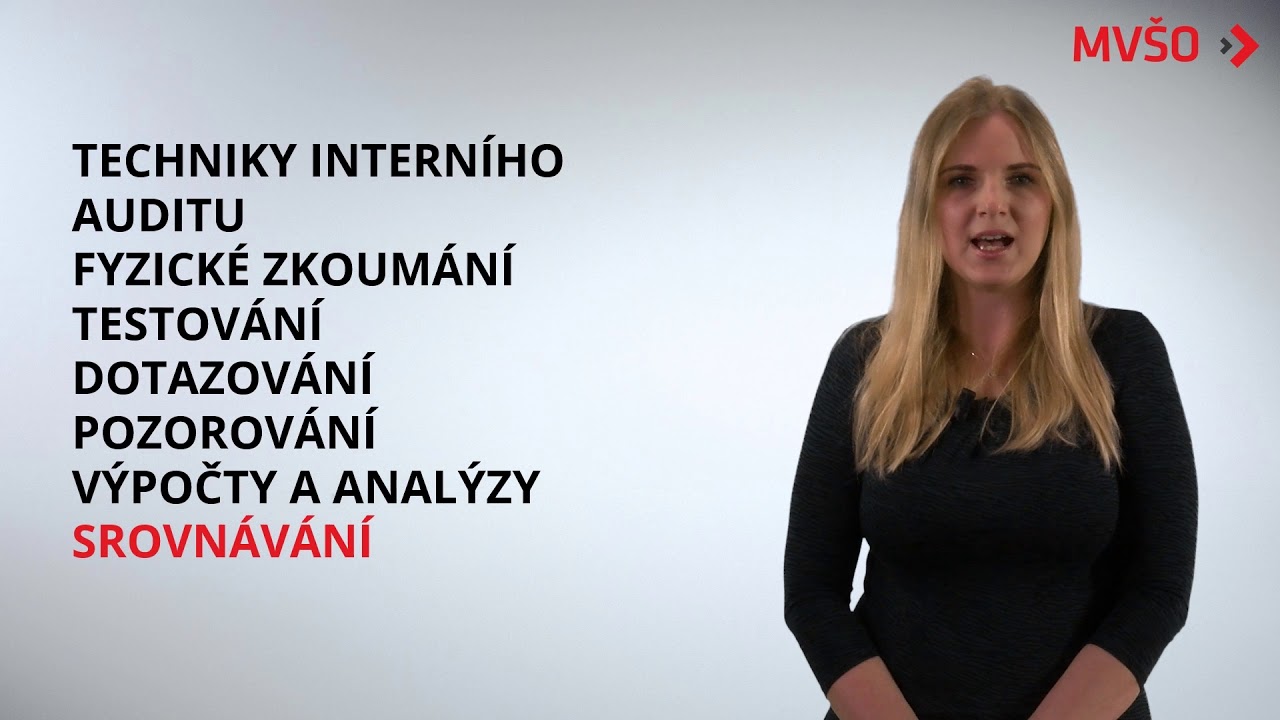 Interní audit | EDULAM