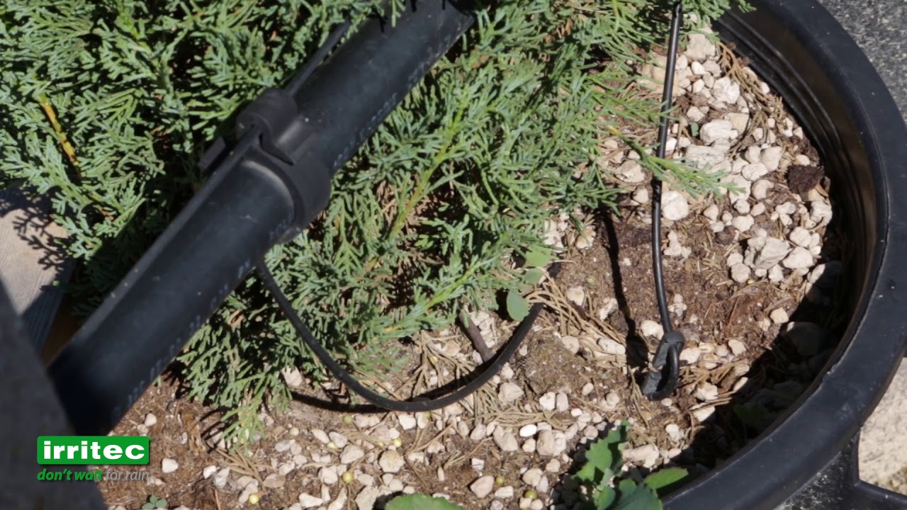 Irritec Drip Irrigation Solutions 3
