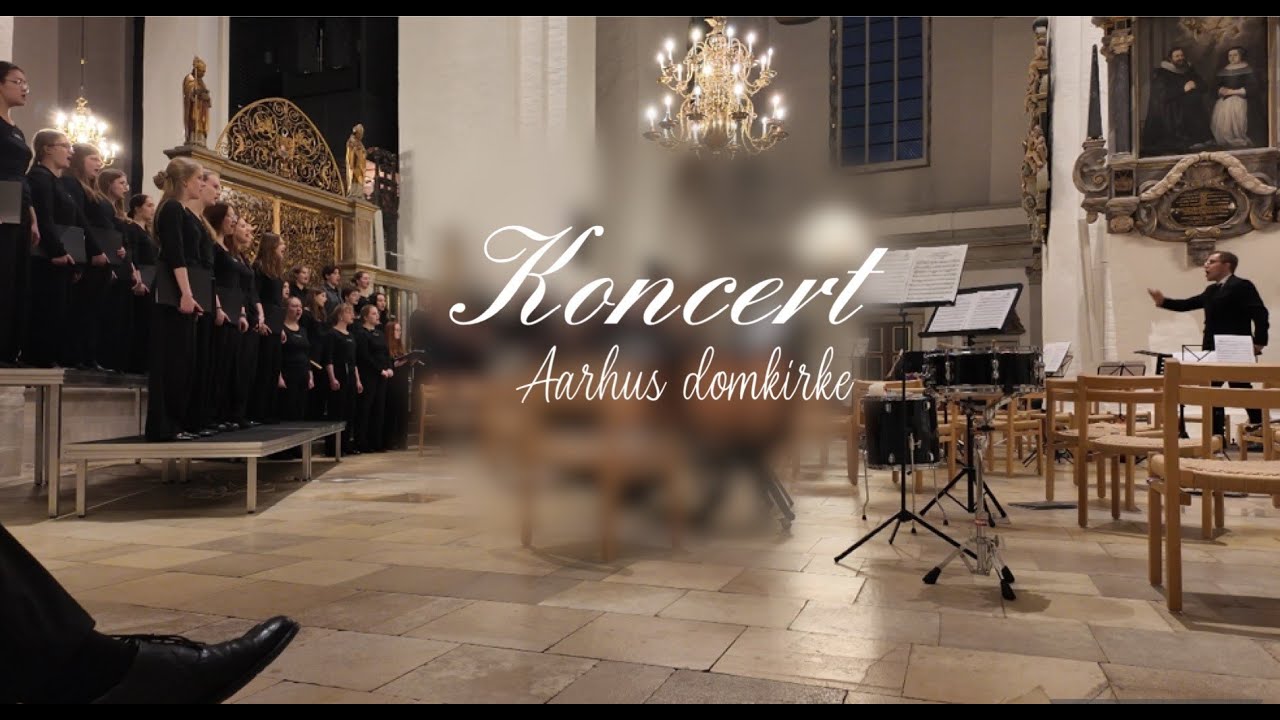 Vi spiller koncert i Aarhus domkirke!