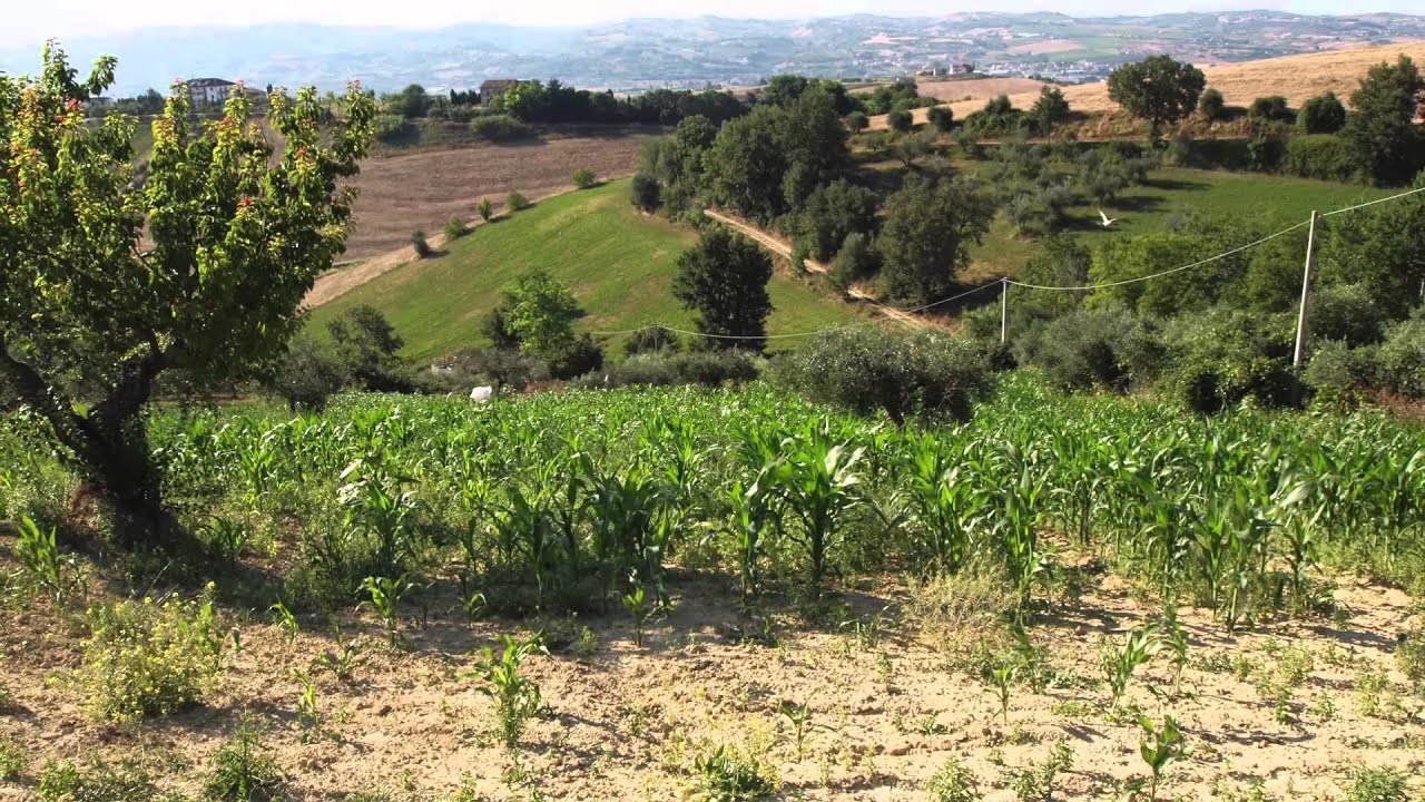 Bauland mit Blick auf den Gran Sasso - Atri, Аbruzzen