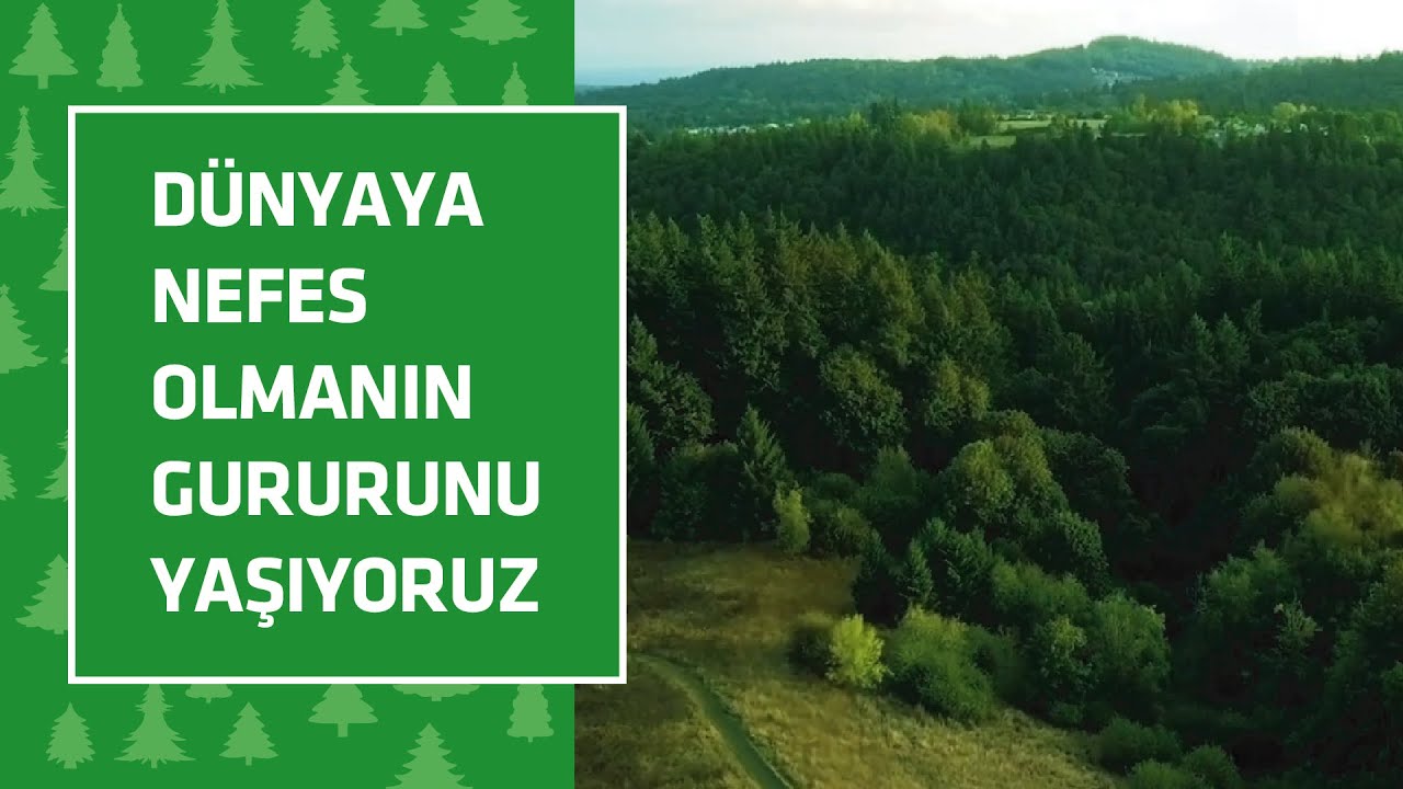 Türkiye, dünya ülkeleri arasında orman varlığı bakımından 46. sıradan 27. sıraya yükseldi.
