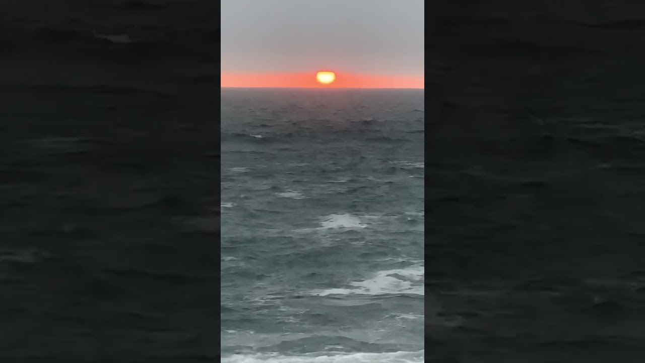 Sunset Vibes 