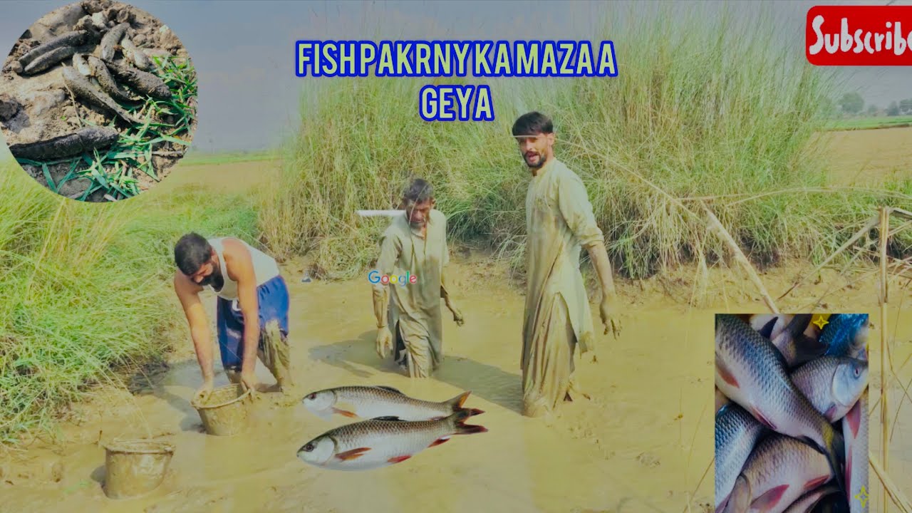 Fish he fish maza a geya🐟🐟🐟