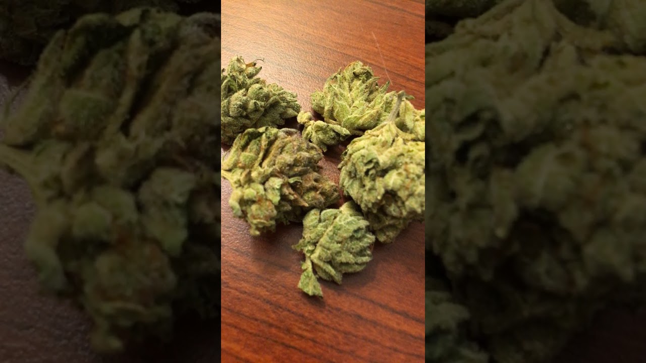 Kandy🍭Kush⛽️ Strain review