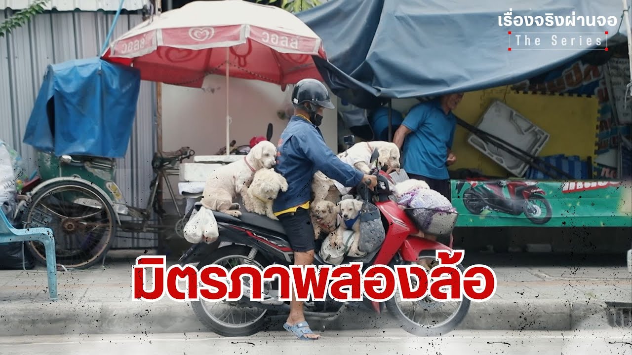 มิตรภาพสองล้อ I EP.74 เรื่องจริงผ่านจอ Theseries 13 กรกฎาคม 68