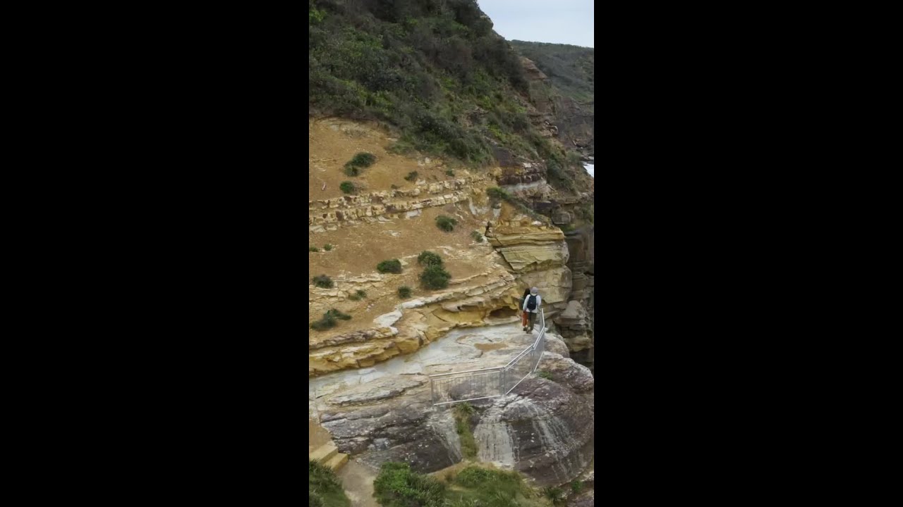 What's happening in NSW National Parks?