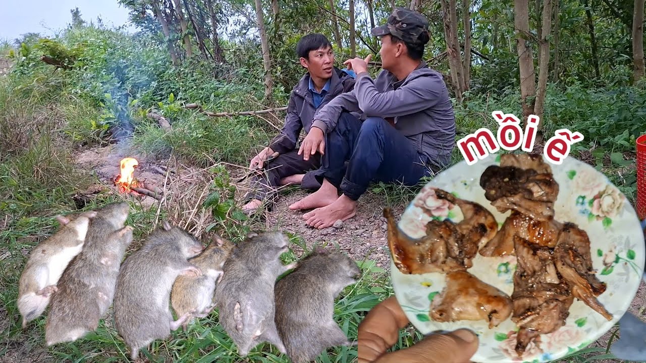 Buổi chiều lạnh lẻo 2 ae đi Gài bẩy chuột,kiếm mồi