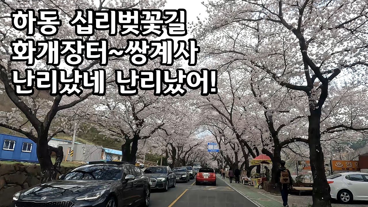 차량은 이곳에 주차 하시고 걸어 가세요, 벚꽃야경, 차량-사람-벚꽃 난리났네 난리났어!