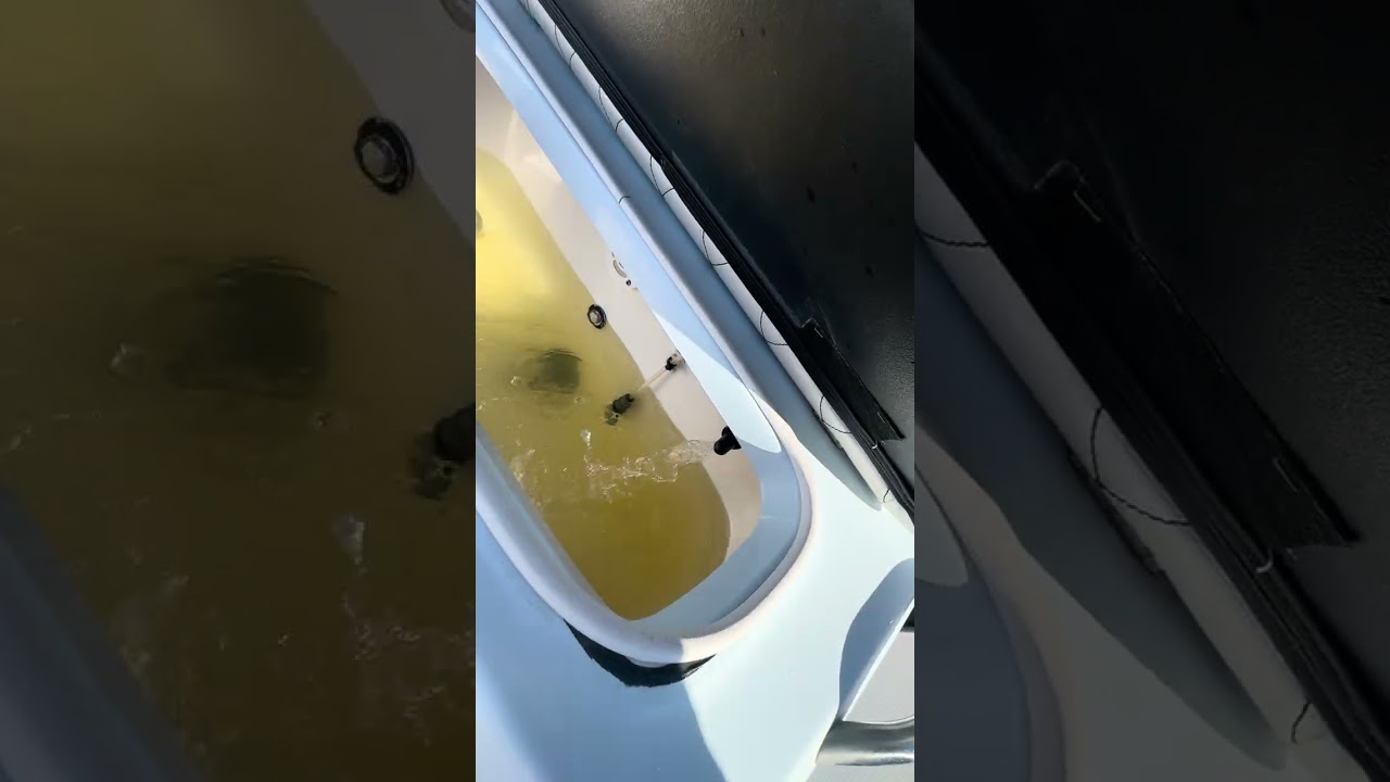 Blue Wave 2400 Pure Bay Sea Trial 1