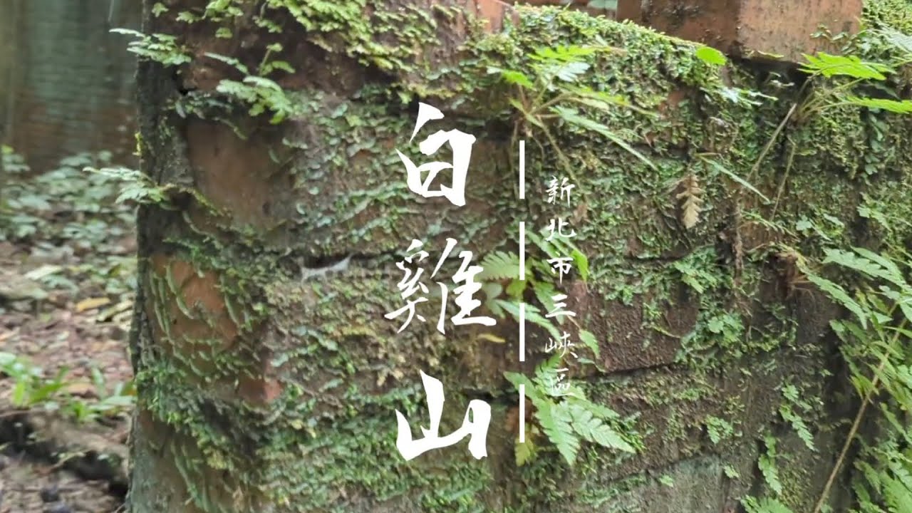 【白雞山】新北市三峽區白雞山登山步道 | 行修宮 | 裕峰煤礦遺址 | 半日行程