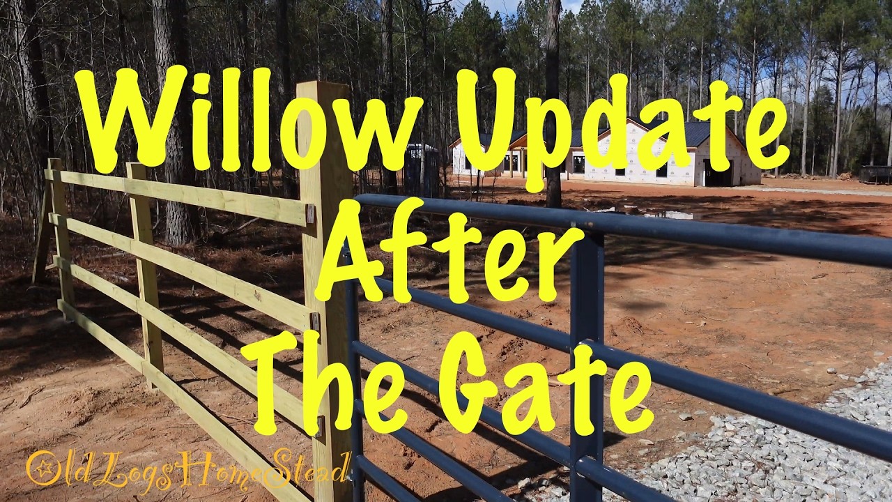 Barndo Co Willow SFH Update