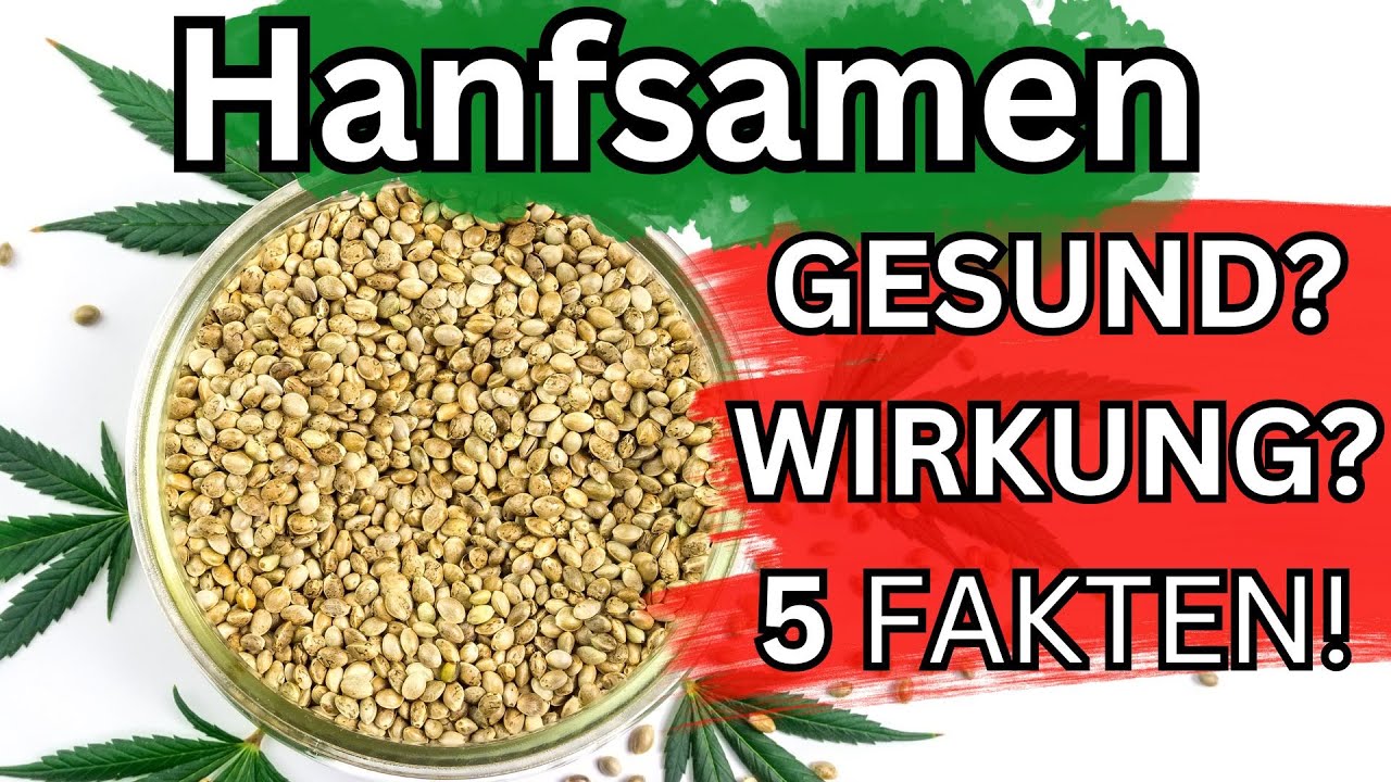 Hanfsamen Wirkung - Wie gesund sind sie? - Lebensmittel Check #01