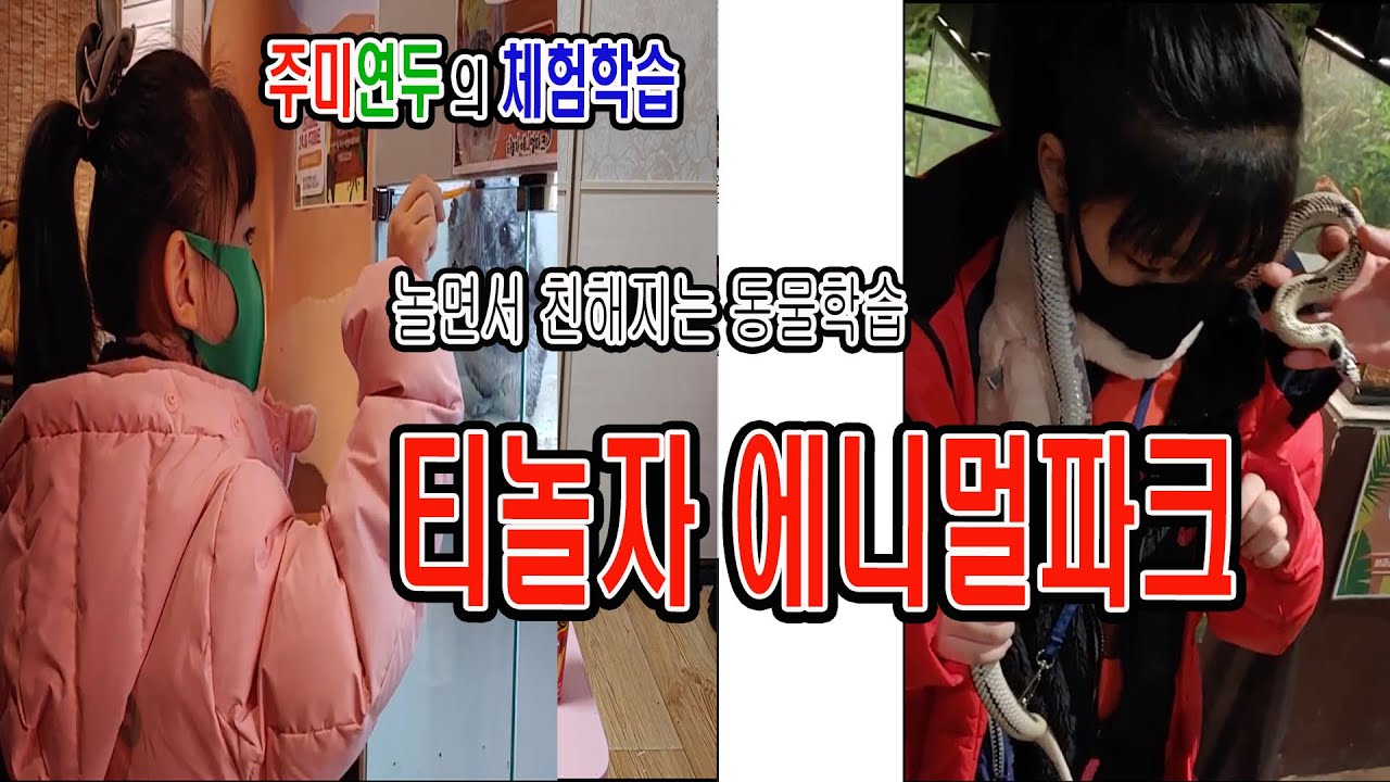 대전에서의 최고의 동물 체험학습장!! 티놀자 에니멀파크