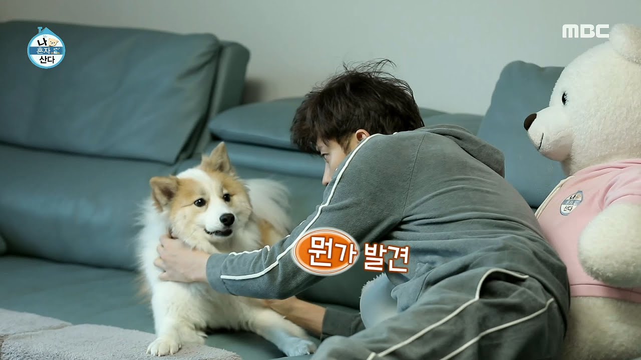 [나 혼자 산다] 새벽 촬영이 끝나고 퇴근한 성훈! 아빠와 놀고 싶은 양희♡, MBC 210326 방송