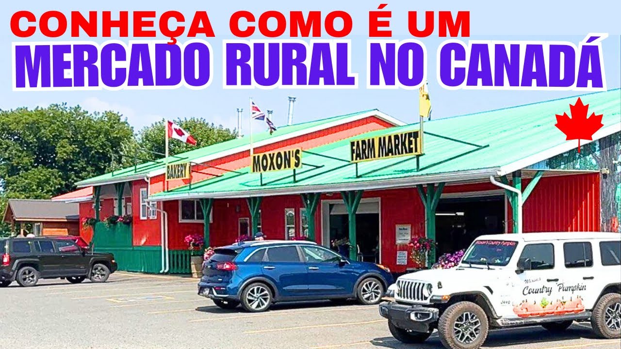 Fazenda Moxon’s no Canadá 🇨🇦| Mercado rural, comidas caseiras e animais