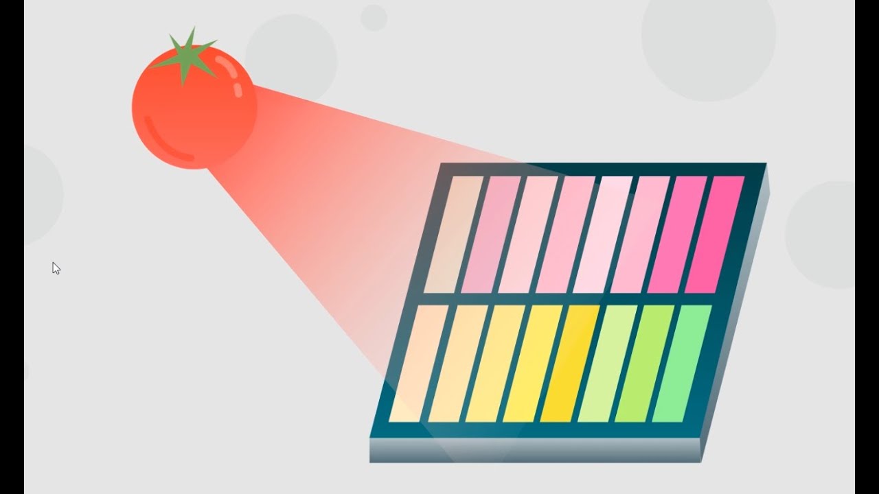A Near-infrared Spectral Sensor for agri-food application