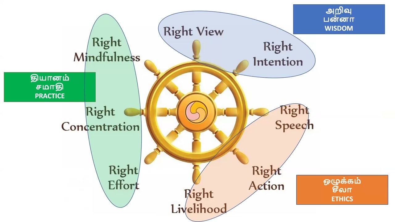 83. Воскресная беседа о Дхамме: Часть 83 - Книга 5 - Сангха - Представление Будды о бхикшу