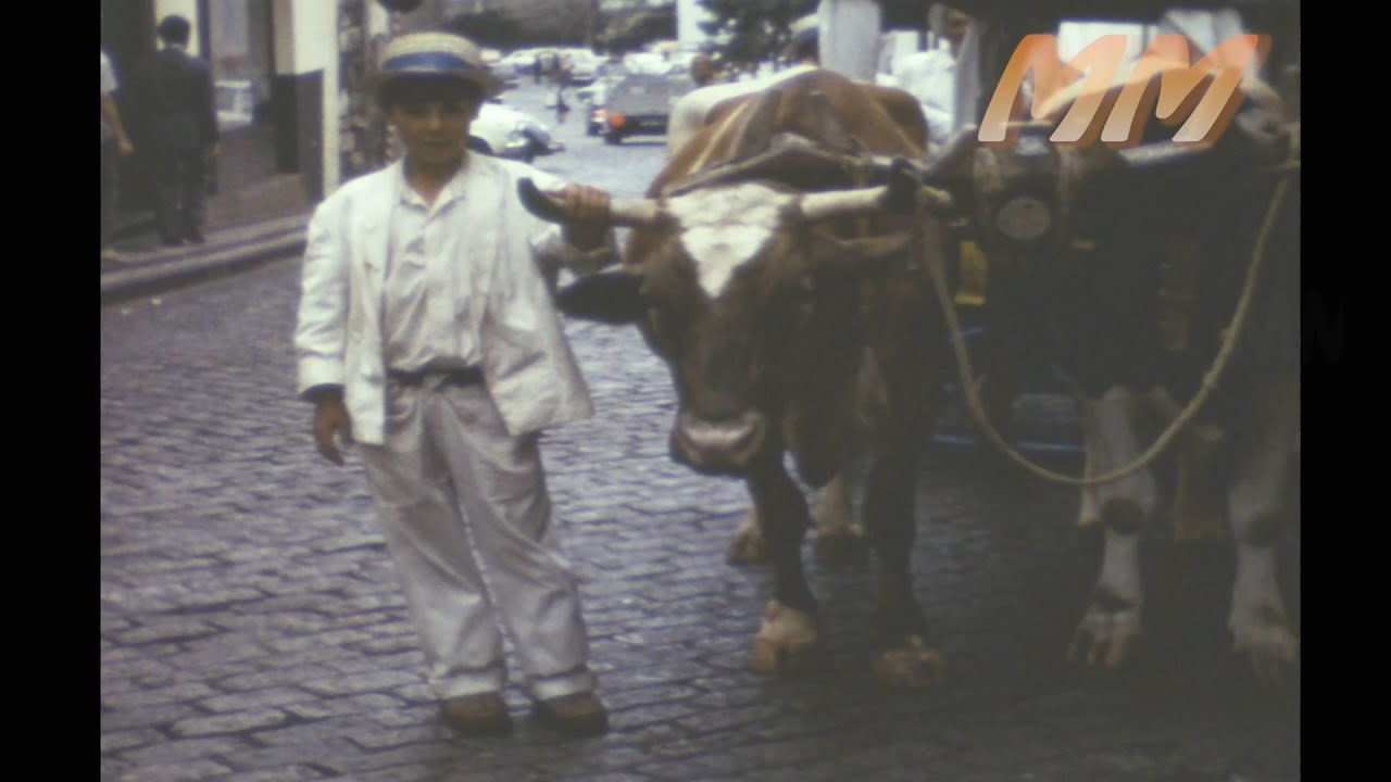 Madeira holiday 1970s old cine film 260
