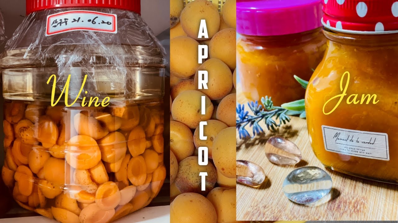 HOW TO MAKE APRICOT WINE AND APRICOT JAM || Homemade 살구 와인과 잼 만들기