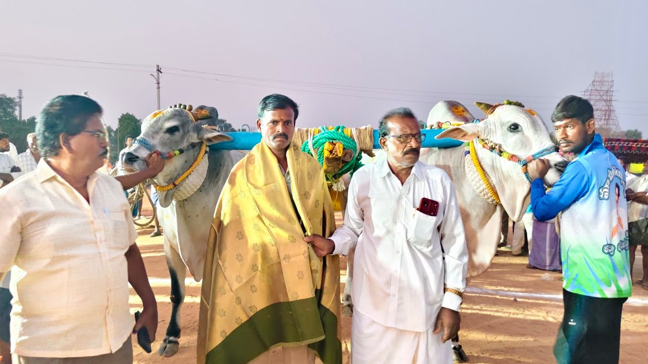 2026-సోపిరాల.పూటి బండి సీనియర్స్.1వ జత.వేమినేని వెంకట రమణ గారు దమ్మన్నవారిపాలెం గ్రామం బాపట్ల జిల్లా
