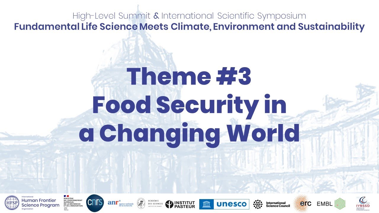 Building Bridges: open discussion theme 3: Food Security in a Changing World