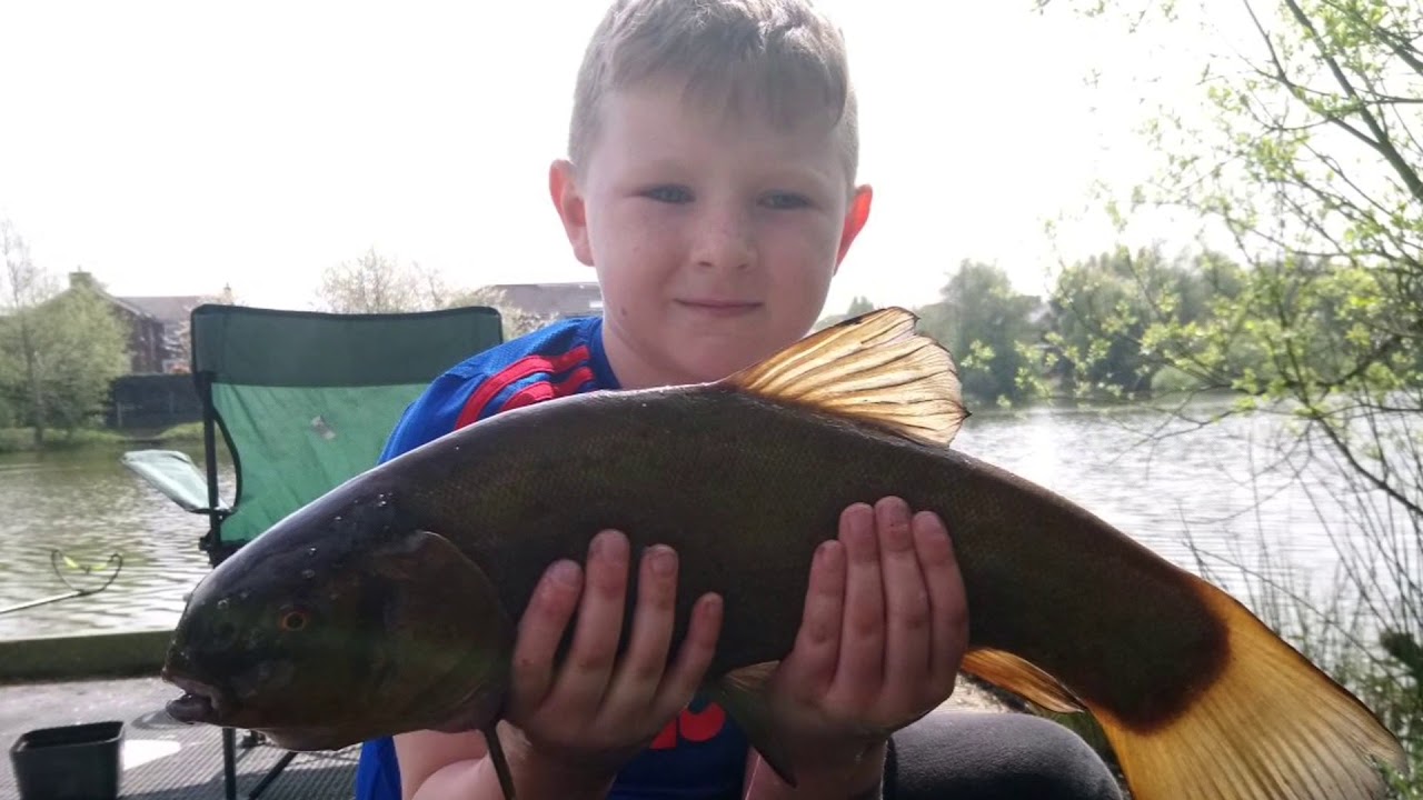 Tench Fishing Willis Lake Belfast