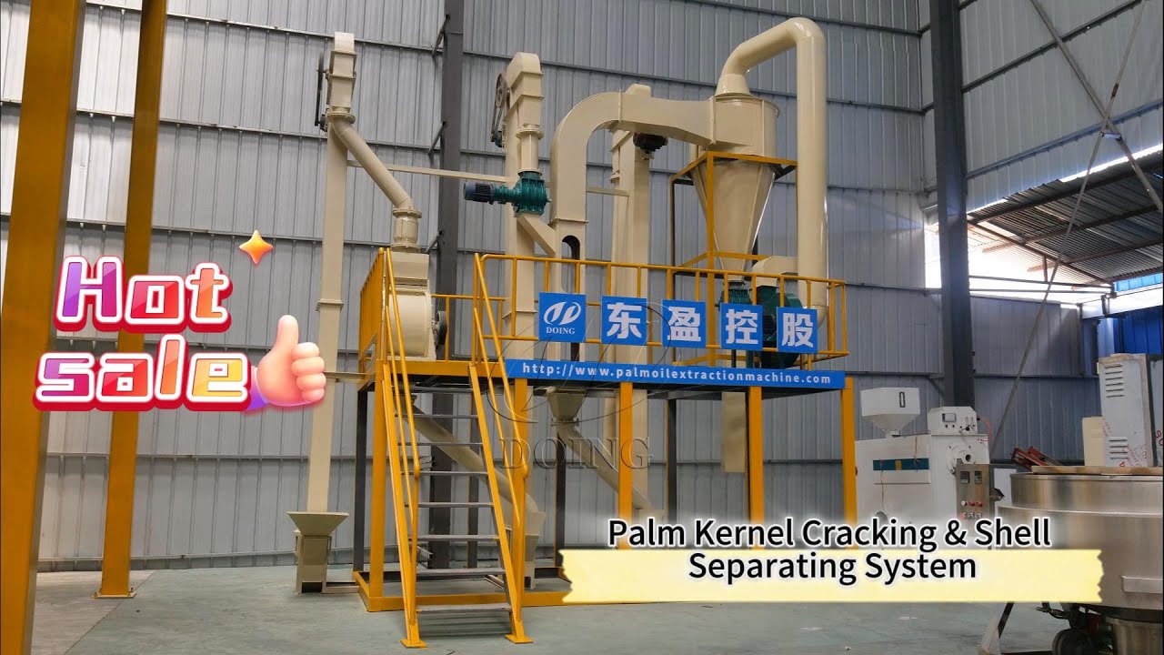 Palm Nut Cracker Machine & Palm Kernel Shell Separator: Efficient for Palm Kernel Oil Processing