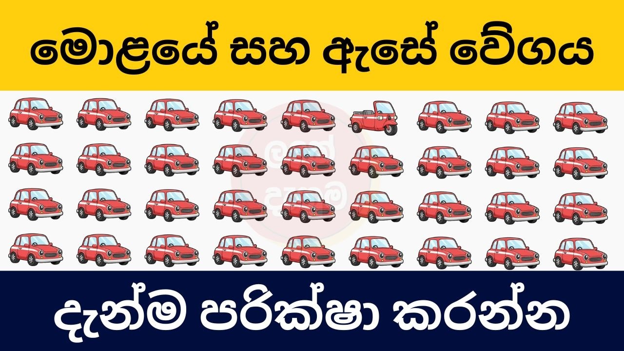 ඔබේ මොළයේ සහ ඇසේ වේගය මනිමු ද? | Speed ​​of the brain and eyes | Smart Test Sinhala | Danuma Minuma