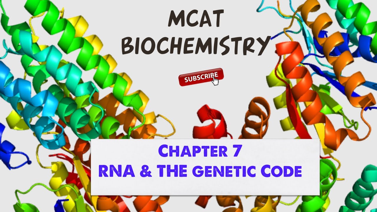 MCAT Biochemistry: Chapter 7 - RNA and the Genetic Code (1/1)