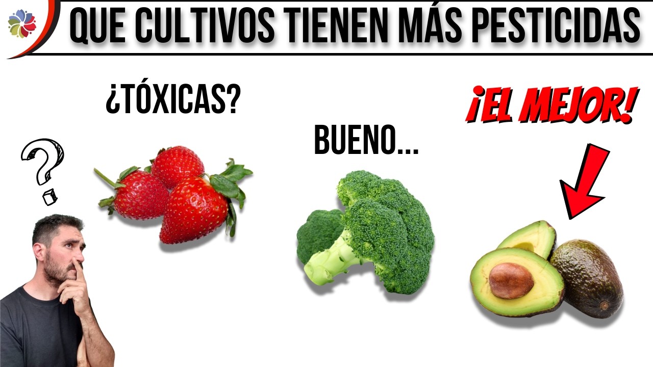 🥑 &iquest;Comes Veneno? | Cu&aacute;les son las MEJORES FRUTAS y VERDURAS que puedes comprar si NO son ORG&Aacute;NICAS.