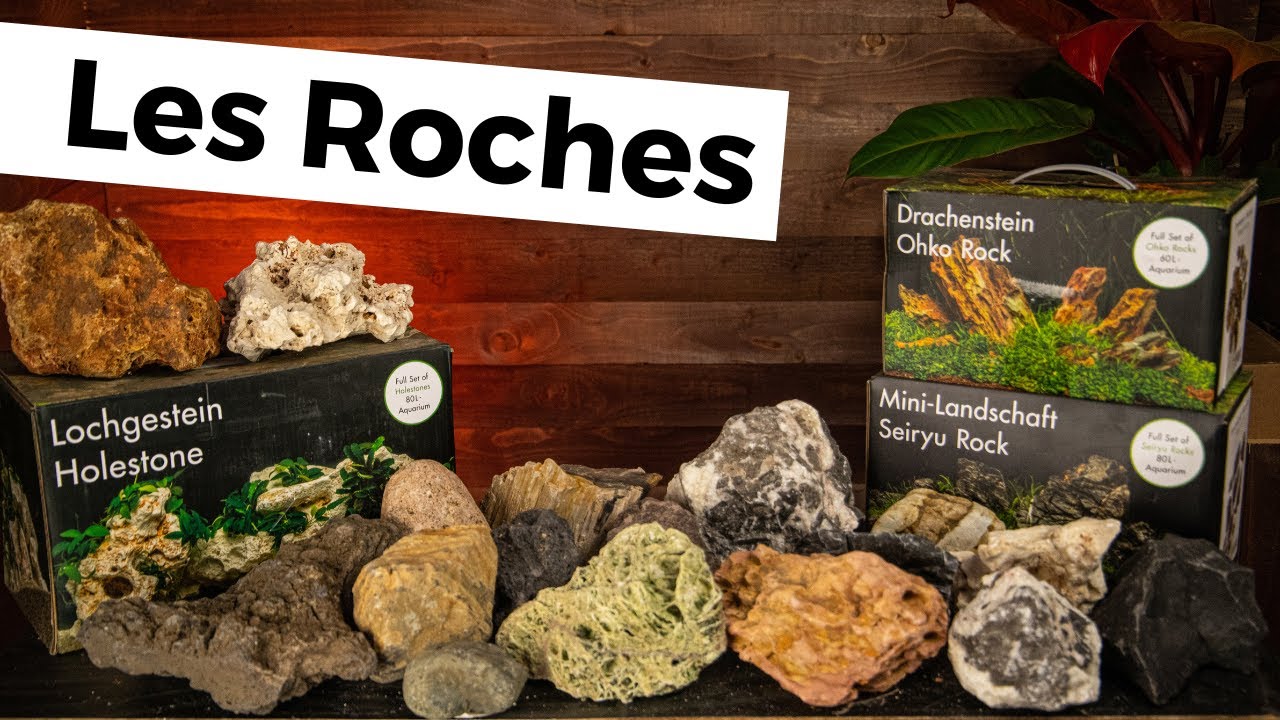 LES DIFF&Eacute;RENTES ROCHES POUR SON AQUARIUM | AQUABOTA